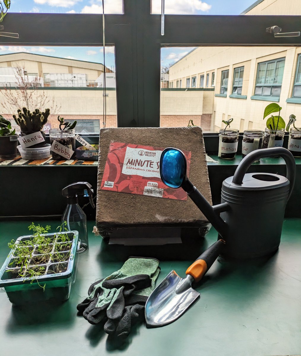 Mrs. Keplinger and her group of students are getting ready for their spring garden! 🌸 We are preparing the beds with native wildflower seeds from @nativewildflowersnursery18 Excited to attract pollinators and make Gunston's landscape even more inviting!🌼🦋🌿 @CRJEducation