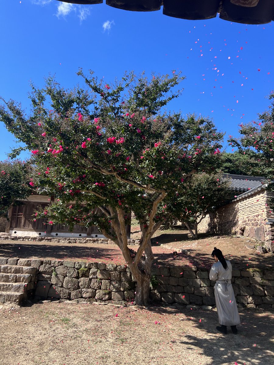 박지훈(PARK JIHOON) tweet media