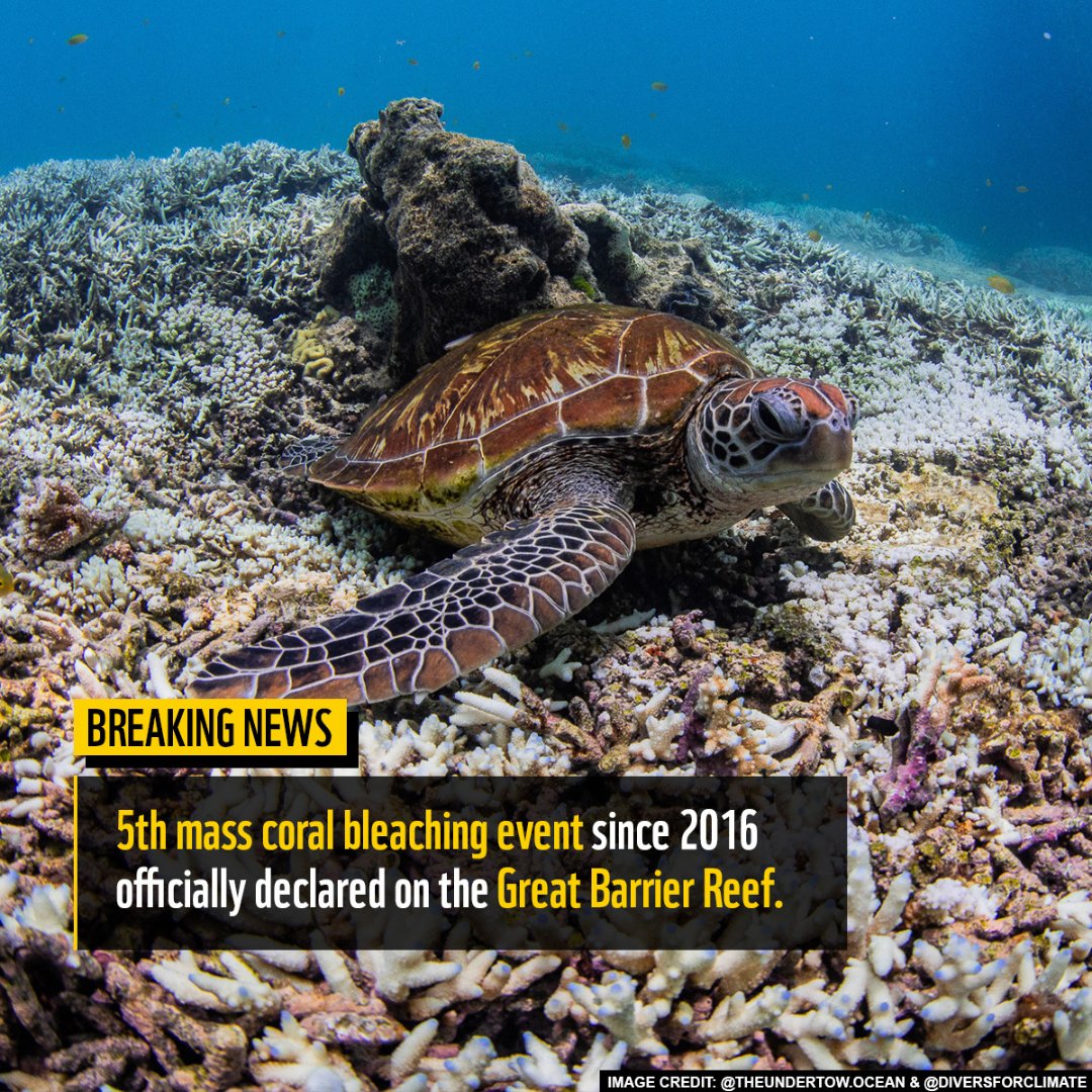 WWF_Australia tweet media