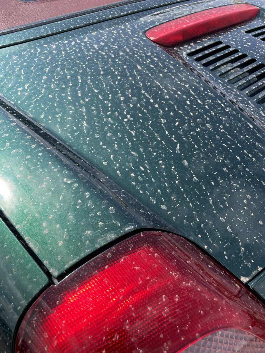 Lpoint1's tweet photo. 雨あがりの愛車
たしか三十数年前の国の政策で植林した杉の影響か
健康被害もあるし洗濯物も室内干し
何とかならないのか？何とかしてくれ！ https://t.co/iGcInsNfwg