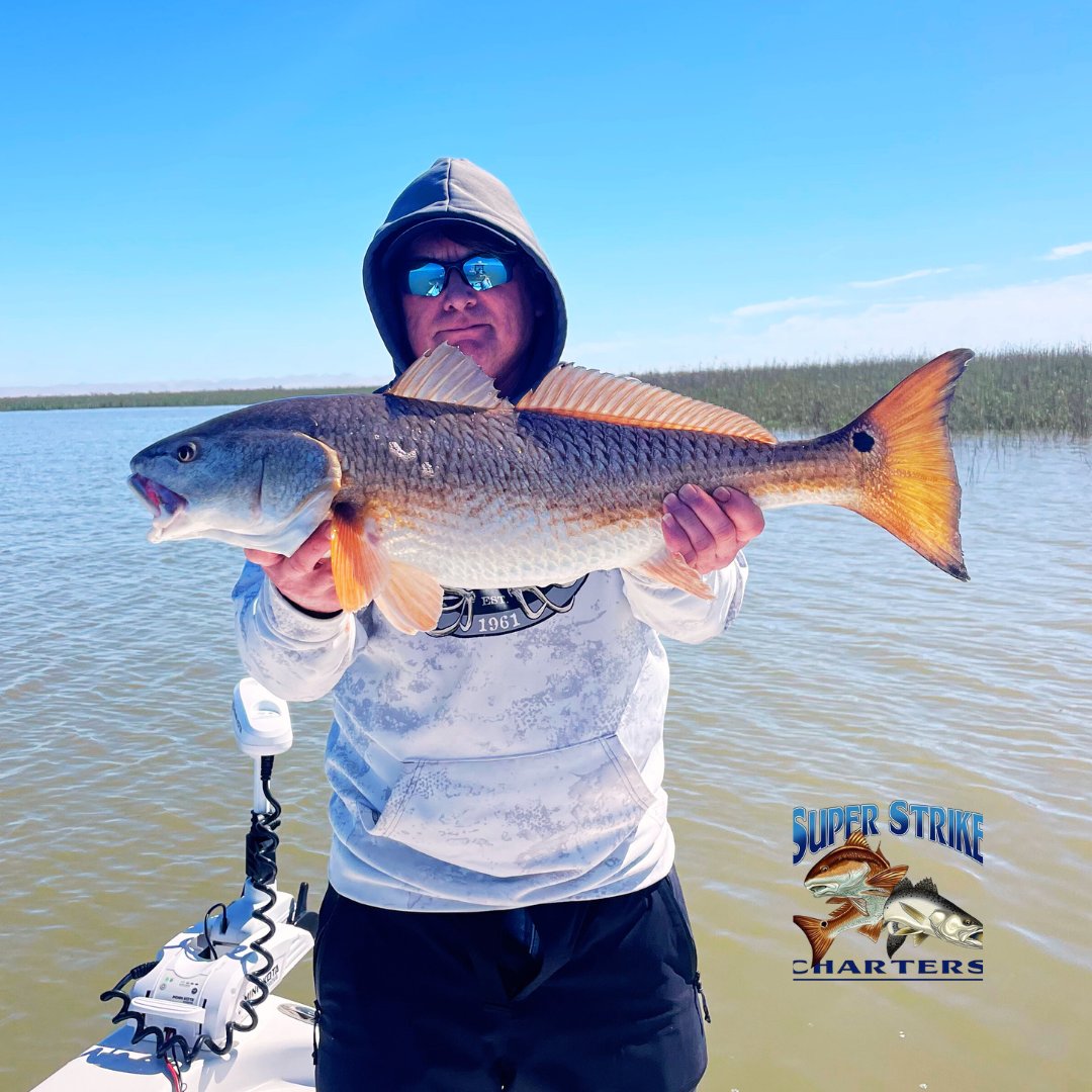 DPMSSC's tweet photo. Redfish are still large and in charge inshore, but Captain Matt and the Witt crew from Ohio found more than bull reds! Check out their catch!

#louisiana
#bluewaveboats
#fishing
#superstrike
#superstrikefishingcharter
#redfish
#winterfishing
#inshorefishing
#newyear https://t.co/Bx4hPbJ7sc