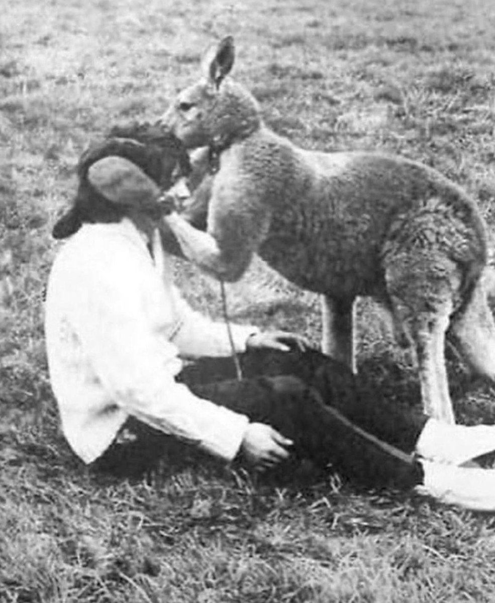 Please enjoy this photo series of photographer John Drysdale getting punched in the face by a kangaroo