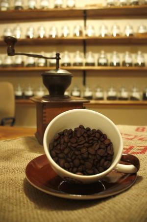 drinkcoffeetea's tweet image. From the ancient forests to your coffee cup! 🌳☕️ Explore the medicinal magic of Ganoderma coffee and how lingzhi mushroom can elevate your health. Sip your way to better well-being with our latest guide! drinkcoffeetea.com/ganoderma-coff…  #GanodermaCoffee