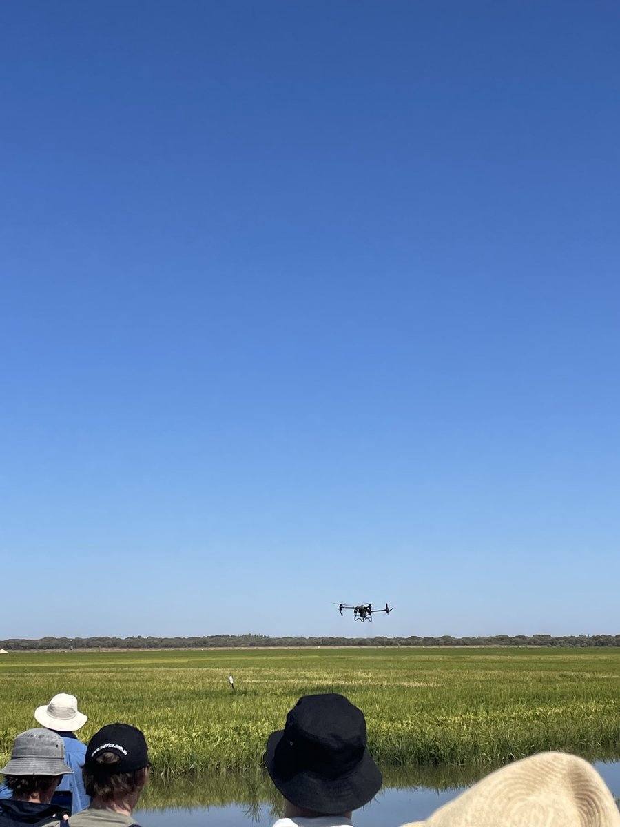 Great to be back at RAPPL for #RiceX field day. Plenty of discussion, learnings and take home messages shared between growers, industry, researchers and stakeholders. <a href="/ricegrowers/">RGA</a> <a href="/RiceBreeding/">Rice Breeding Australia</a> <a href="/RiceExtension/">Rice Extension</a> <a href="/GrowerService/">SunRice Grower Services</a> <a href="/SeftonAg/">Sefton Agronomics</a> <a href="/SeftonAssoc/">Seftons</a>