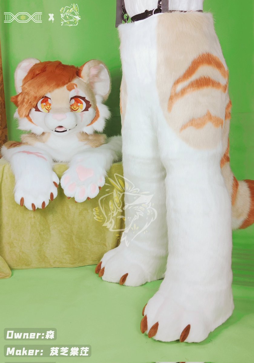 ✨✨甜甜的焦糖豆乳蛋糕出炉！🍰🍰
🐅小虎名字是周穗🐅
这次制作了可以露出手指头的爪子，可以美美演奏简单的乐器了！🎸
🐅拥有者：<a href="/Mori_Zhousui/">柯基森「mori」</a>
#fursuit #fursuitmaker