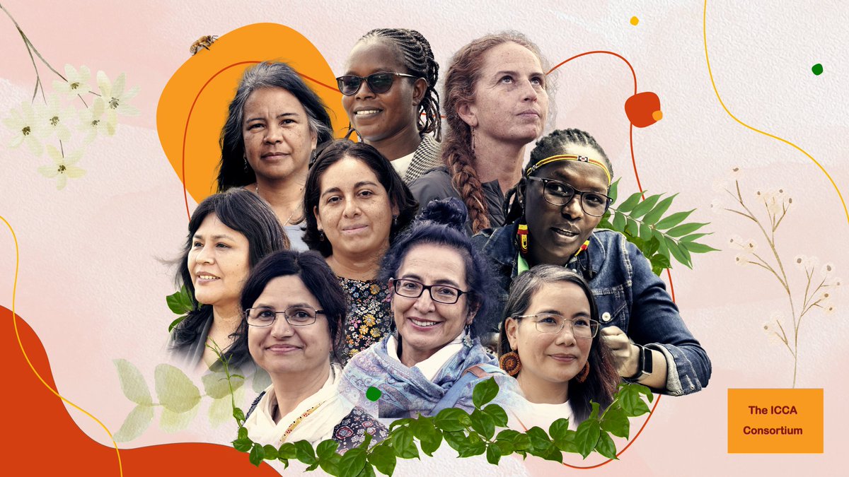 On this #InternationalWomensDay, we appreciate women leaders’ contribution to the global movement to support the territories of life of the #IndigenousPeoples and local communities. Explore #GenderEquality stories on our website. 🔗 iccaconsortium.org/category/gende… #TerritoriesOfLife