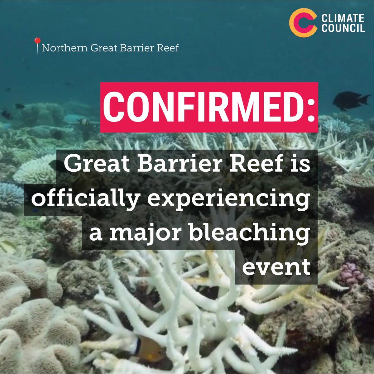 The Great Barrier Reef is officially facing its fifth major bleaching event in eight years, experts confirmed today.