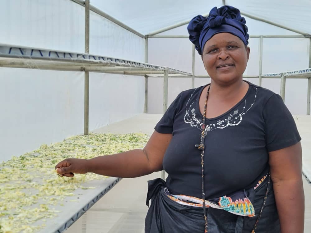SNV_Zambia's tweet photo. Happy International Women's Day💜!! Today we honour the incredible achievements of women  &amp; reaffirm  our commitment to #InvestInWomen &amp; #AccelerateProgress. Together we can #InspireInclusion &amp; accelerate progress towards a more equitable &amp; inclusive future for all https://t.co/3nymfwbDEE
