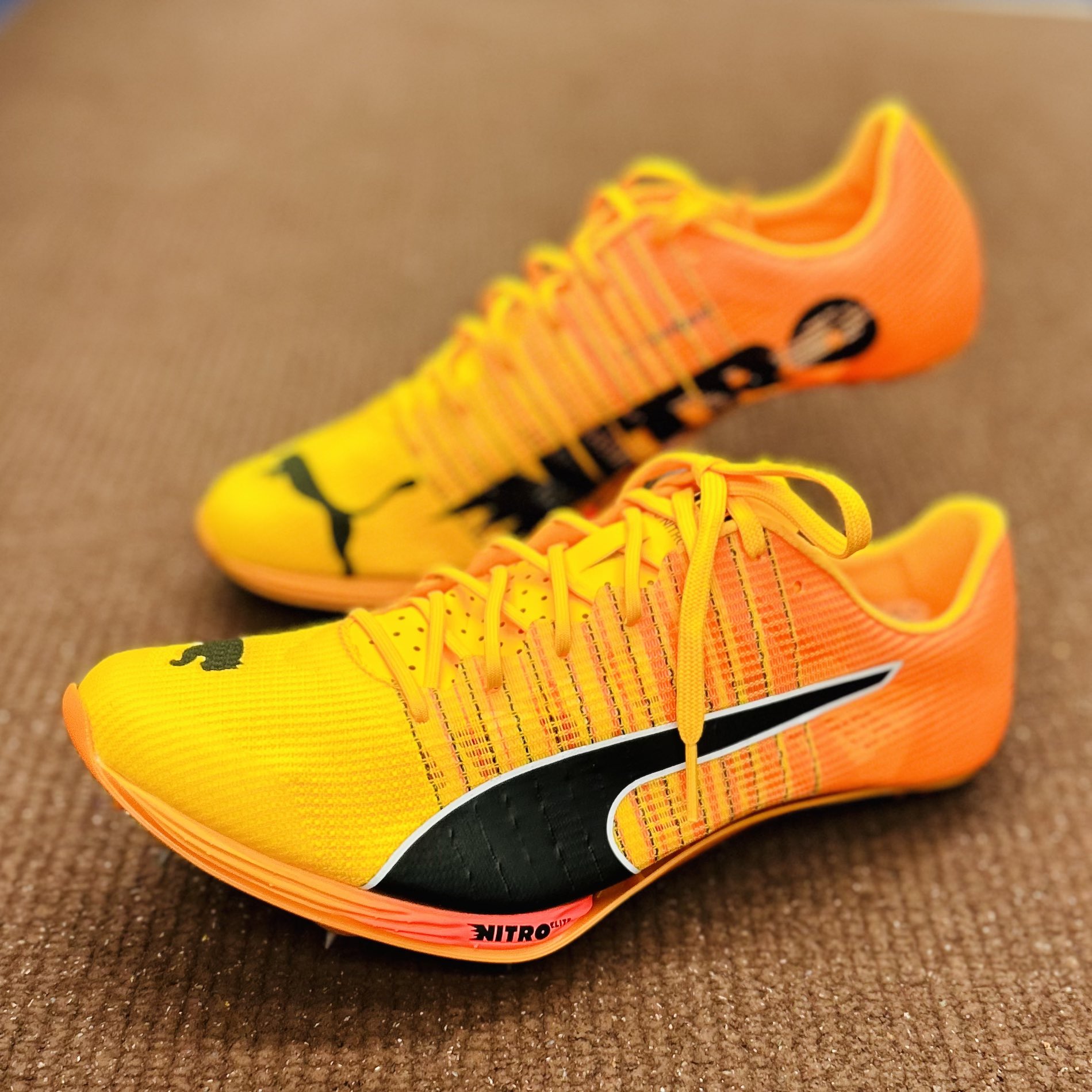 PUMA ショップ 25.0cm エヴォスピード400 ニトロ 2 エヴォスピード