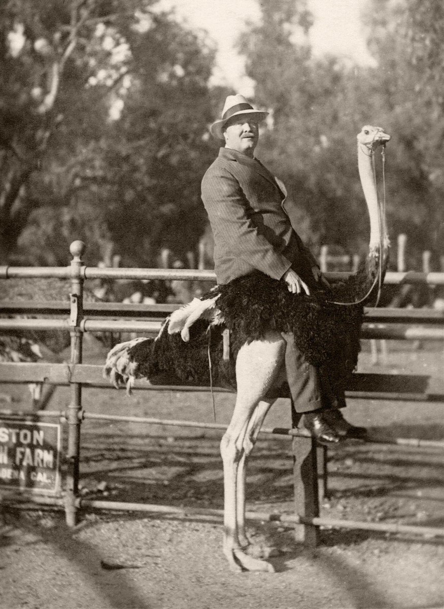 MikeJMika's tweet photo. A Gentleman's Game of Joust https://t.co/hYI9a7hbeS