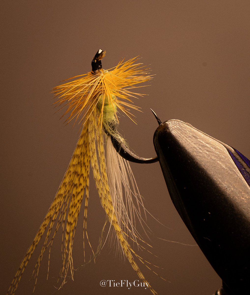 tieflyguy's tweet photo. OH YEAH.   Spring is coming.....

#TieFlysWhenYourHavingFun 
Follow me on X. @tieflyguy https://t.co/c9WgAKt3La