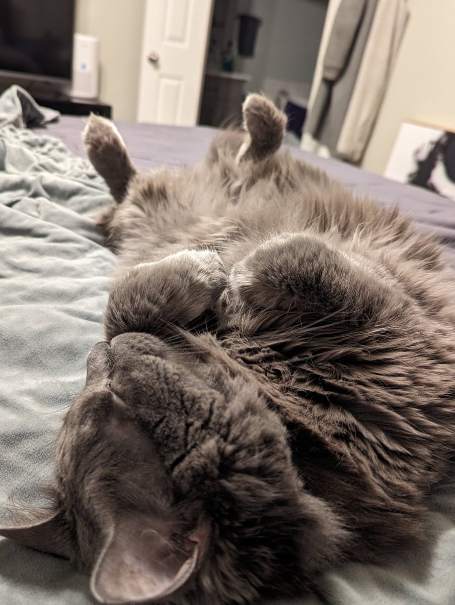 thegremqueen's tweet photo. it's the curled peets for me https://t.co/DOKAyhqnYh