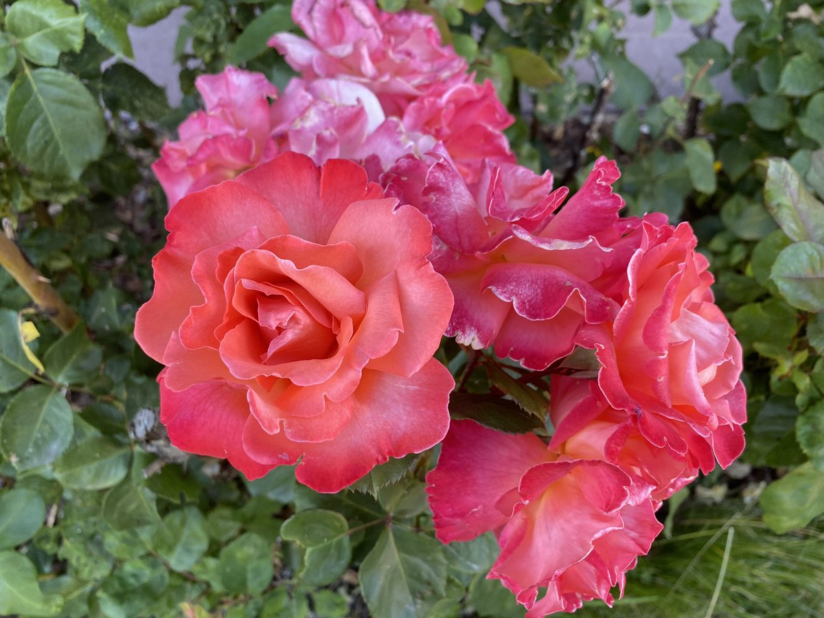 Zum heutigen #Weltfrauentag allen tollen und starken #Frauen dieser Welt: Ein Hoch auf euch!