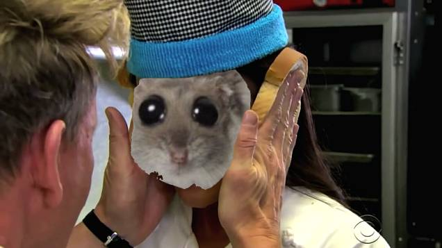 $HAMMY tweet media