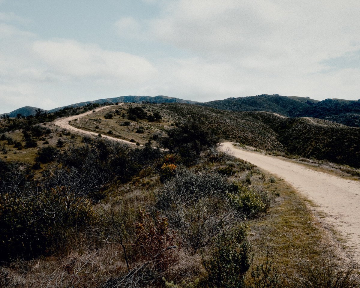 2driot's tweet image. Some photos of my recent hike up toro park