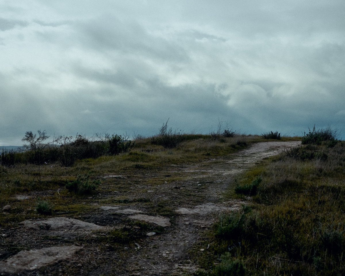 2driot's tweet image. Some photos of my recent hike up toro park