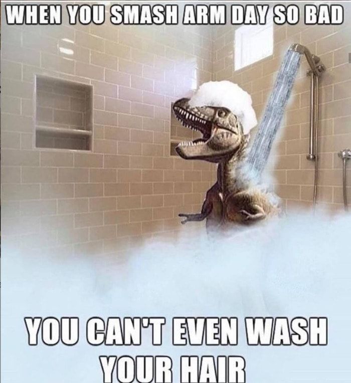 Jacked Kangaroos 🇦🇺 tweet media