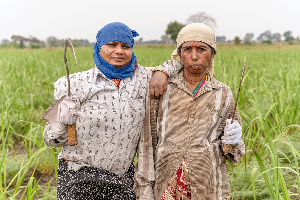 Think of a farmer. Did you think of a man? Hold on! In India, women are the backbone of agriculture. A whopping 80% of farm work is undertaken by women, according to TERI. They sow seeds, nurture crops, and harvest the bounty that power wonderful harvests across our country.