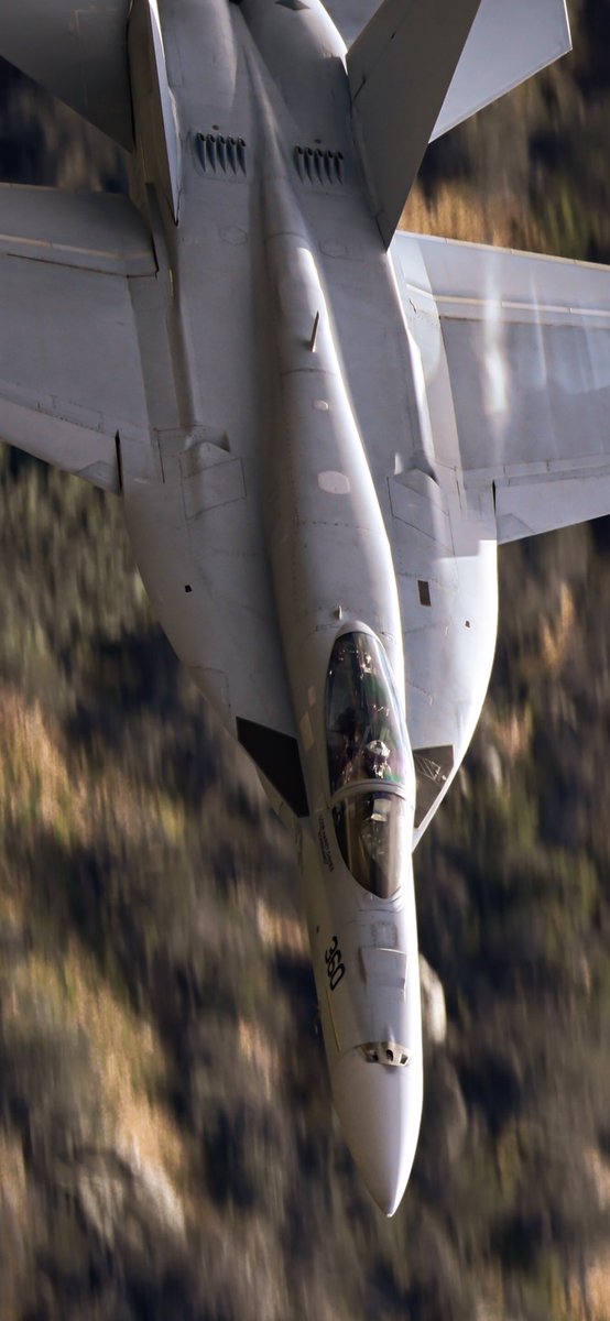 JarodMHamilton's tweet image. Some days, you only get one pass on the Sidewinder. Thanks to this Vampire for making it a good one 🔥
#vx9 #vx9vampire #sidewinderlowlevel
