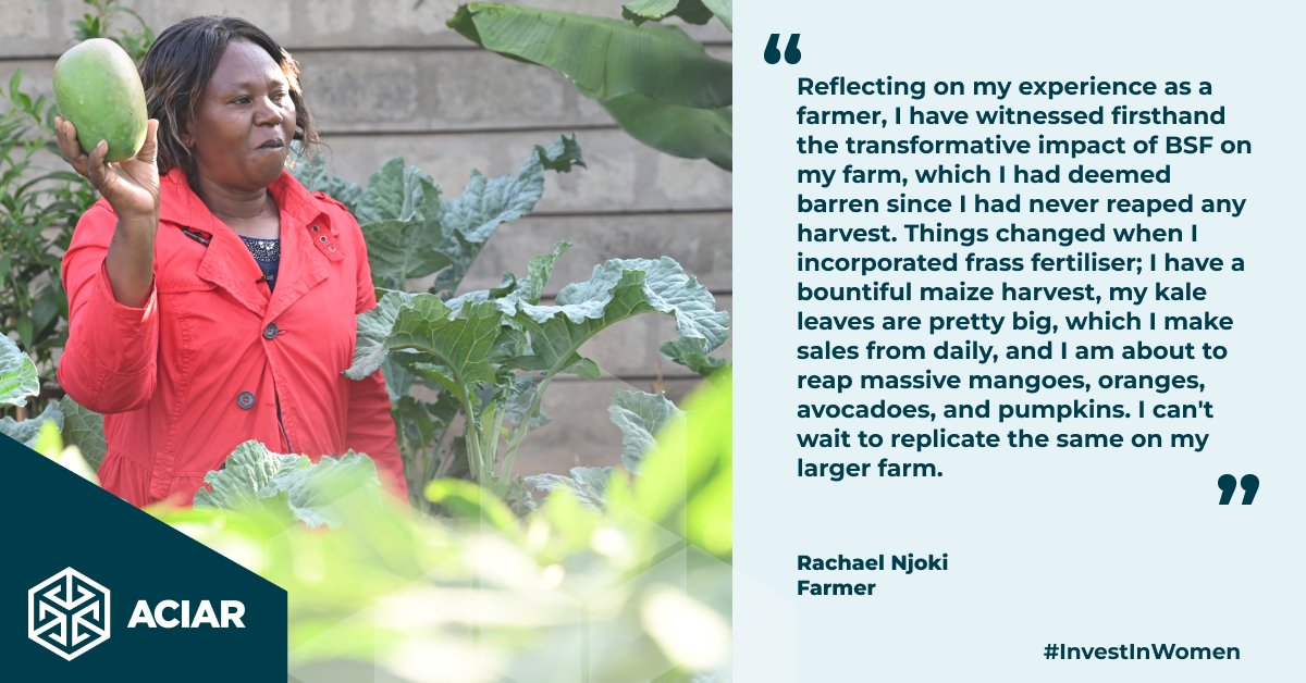 #ACIAR's investment fosters sustainable agriculture and creates pathways for women's leadership and innovation through Black Soldier Fly (BSF) farming. #BSF boosts #AnimalHealth, feed protein content, #SoilHealth, #wastemanagement, and 📉 #GHG. #IWD #InvestInWomen #ACIARImpact