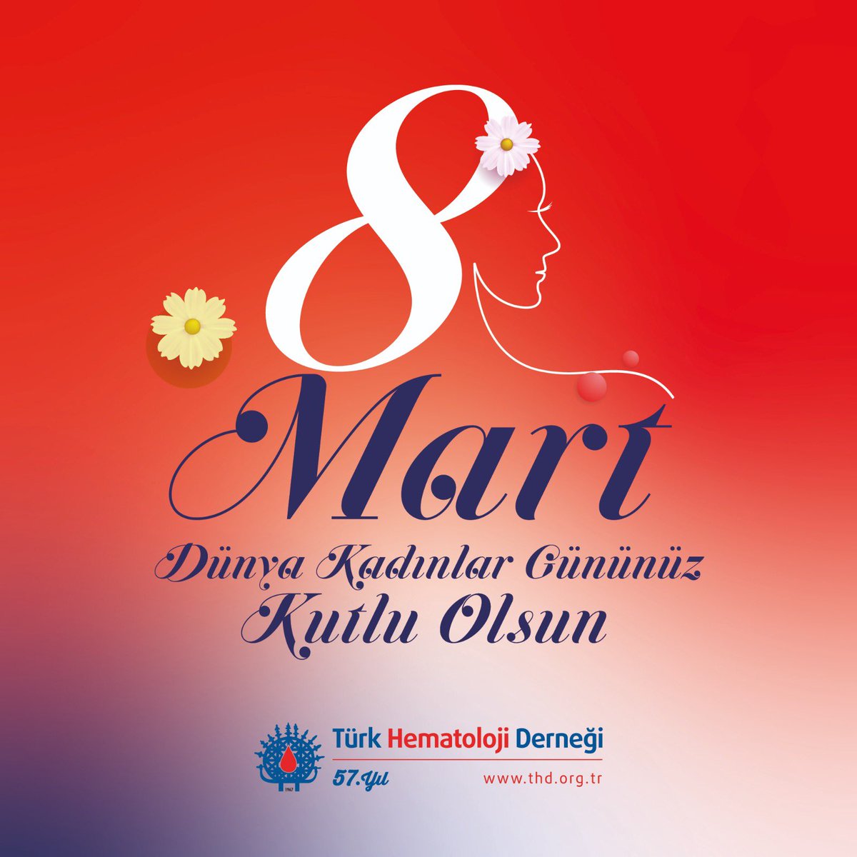 8 Mart Dünya Kadınlar Gününüz Kutlu Olsun 🌼#8martdünyakadınlargünü