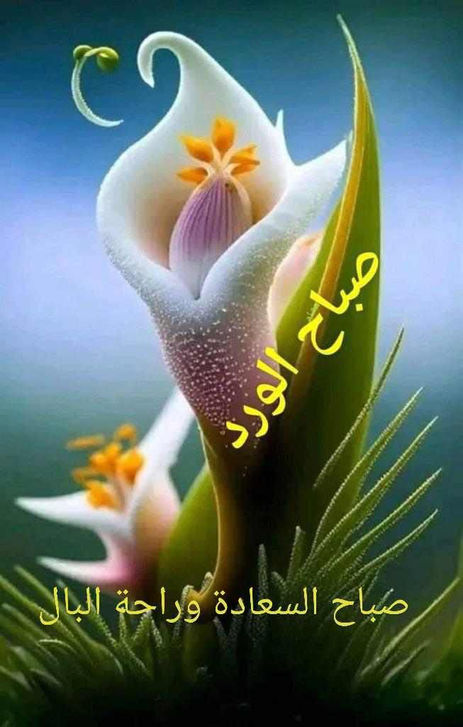 ........ (@kartonmool) on Twitter photo 