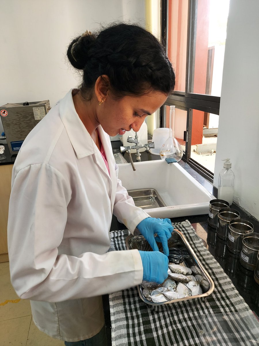 "Happy International Women's Day to all the amazing women researchers out there! Your contributions to science and research are invaluable. Keep shining bright! 💫🔬 #InternationalWomensDay #WomenInSTEM"