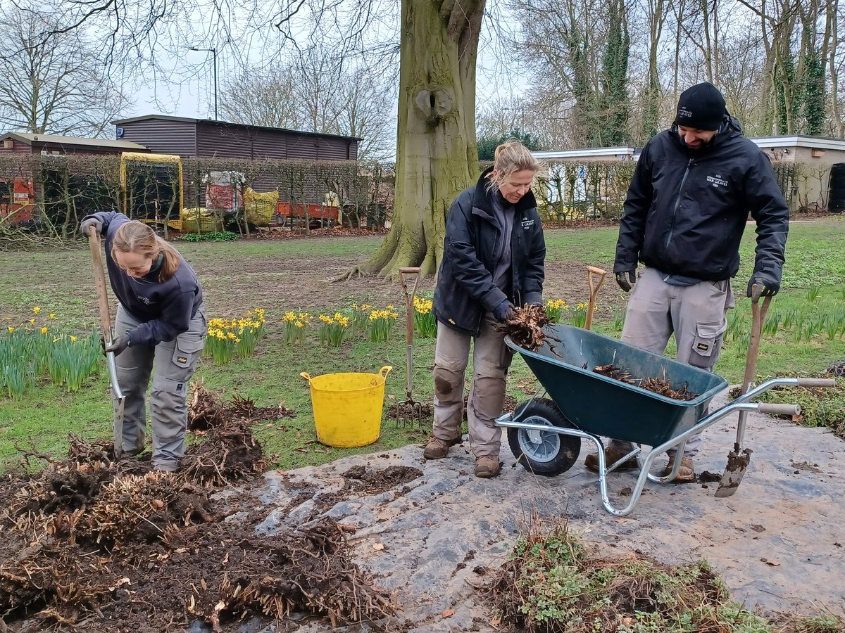 It's #InternationalWomensDay here at <a href="/CWGC/">Commonwealth War Graves</a> Stonefall two of our female gardeners, Helen and Nicola, are hard at work alongside Tim. They're splitting plants ready to replant on the graves of the fallen. #IWD2024