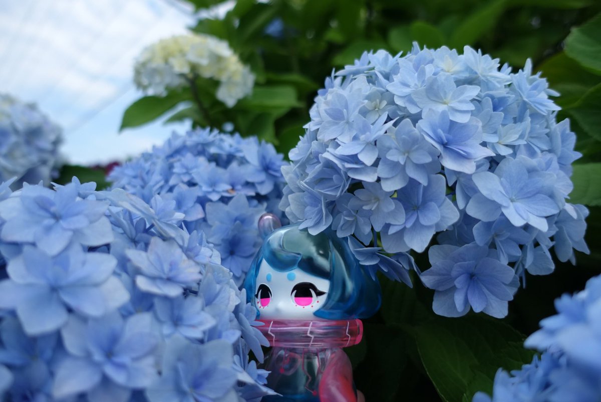 canacoo_01's tweet image. 【固定】
ソフビ（デンシタコメイン、割となんでも好き）
ドール
sky（砕ケル生まれ）
原神
あんスタ（藍良推し）
ディズニー
SnowMan（ライトオタ）
BUMP（たまにライブ行くよ）

服やコスメも好きです。
雑多垢。よく具合悪くなってる。
フォロー大歓迎！