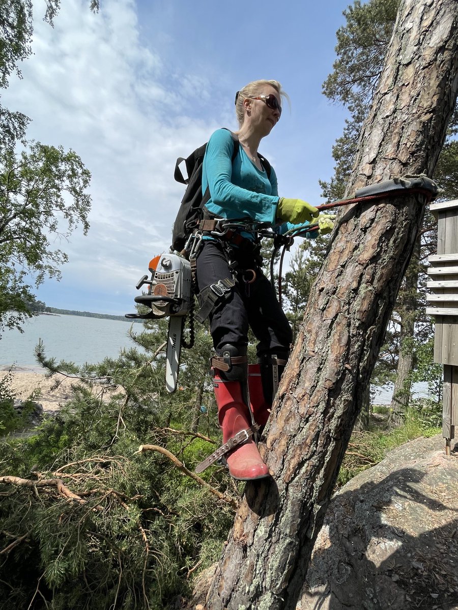 SarasvuoJari's tweet photo. Rouva on ketterä. Kohta on kevät, ja päästään taas loppumattoman savotan riemuihin. https://t.co/uOcln9EjRr