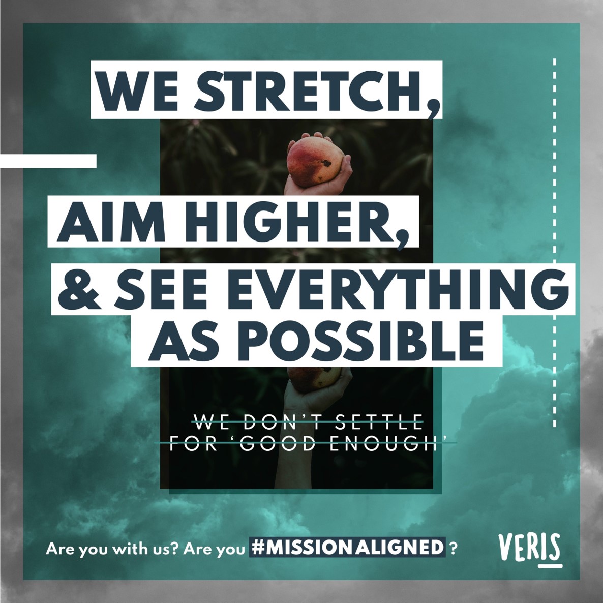 We work with people who bring big bold intentions and want to become food industry-leaders in #ESG and #sustainability performance.

Ready to stretch, aim higher and see the possible?

Are you #MissionAligned? 
Then let's talk.
veris-strategies.co.uk/contact