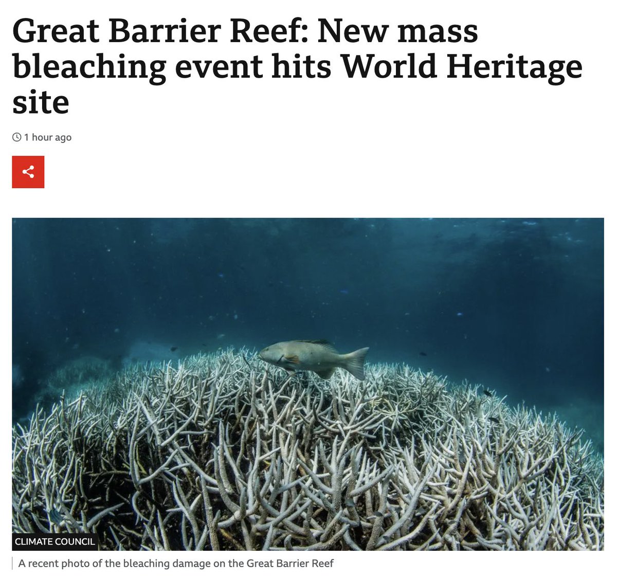 NEW: Record ocean temperatures are hitting the Great Barrier Reef with mass bleaching. New oil and gas fields will crank up the heat even more and spell disaster for marine life. Governments and big oil execs are ravaging our planet's natural wonders for profit.