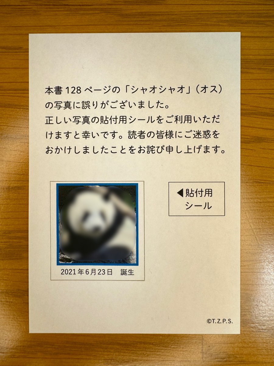 上野動物園 #パンダ 2024-03-08 「つなぐ ジャイアントパンダ飼育の50