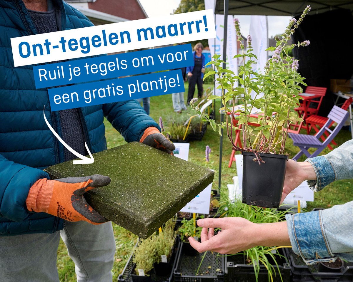 🪨🪴Op zaterdag 23 maart rijdt de Ont-Tegel Tour door alle dorpen. Op deze dag kan iedereen hun tuintegels ruilen voor een gratis plantje:raalte.nl/gemeente-raalt…

De Tour is opgezet samen met@sallandwonen &amp; Tuincoaches Regio Raalte. 

#raalte #ontstenen #nktegelwippen