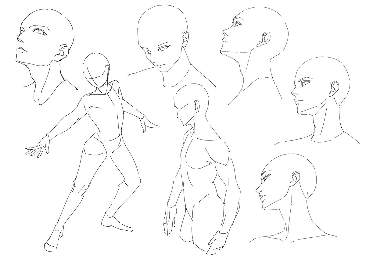 study80 