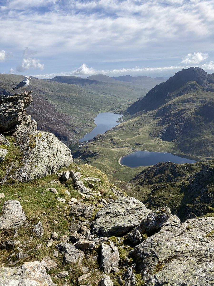 We wander the Glyderau (the glyders in 🏴󠁧󠁢󠁥󠁮󠁧󠁿) at least once a year, with lunch with my parents on the summit of Tryfan (far right)

At the far end of the lake (Llyn Ogwen) where Excalibur is supposed to be, you can see just see where trees are being reintroduced, including oaks.