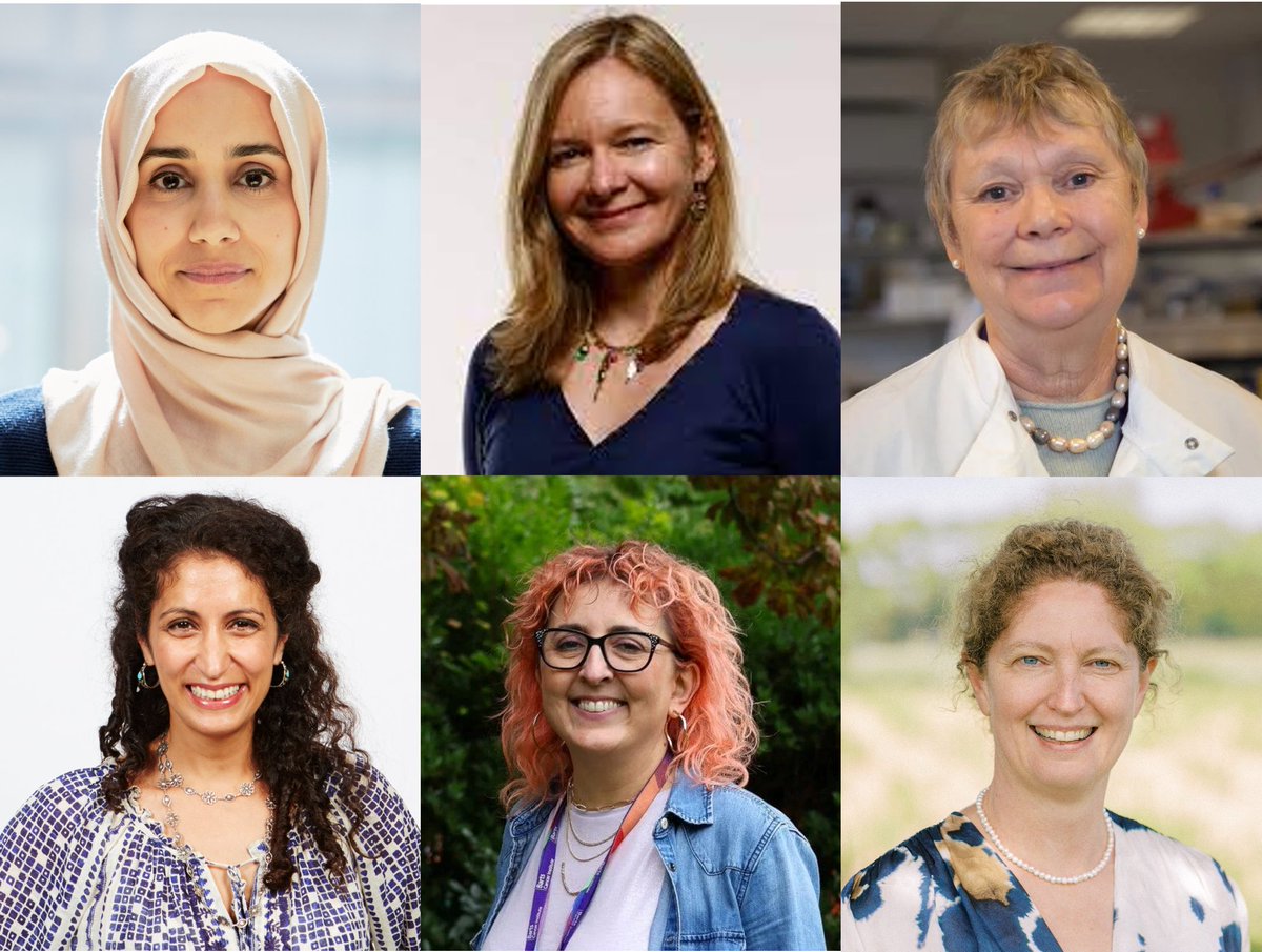 CRUKCOLcentre (@crukcolcentre) on Twitter photo Today is #InternationalWomensDay. We are proud to support the many women scientists, students and technical staff at the City of London Centre. Special thanks to our Executive and Theme Leads @MariamJHanjani <a href="/ninnerl1306/">AnitaGrigoriadis</a> <a href="/FrancesBalkwill/">Frances Balkwill</a> <a href="/Hodivala_Dilke/">Hodivala-Dilke Lab</a> <a href="/fcicca/">Francesca Ciccarelli</a> <a href="/straathof_karin/">Karin Straathof💙🎗</a>❤️ Today is #InternationalWomensDay. We are proud to support the many women scientists, students and technical staff at the City of London Centre. Special thanks to our Executive and Theme Leads @MariamJHanjani <a href="/ninnerl1306/">AnitaGrigoriadis</a> <a href="/FrancesBalkwill/">Frances Balkwill</a> <a href="/Hodivala_Dilke/">Hodivala-Dilke Lab</a> <a href="/fcicca/">Francesca Ciccarelli</a> <a href="/straathof_karin/">Karin Straathof💙🎗</a>❤️
