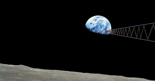 Kawaii Crypto tweet media