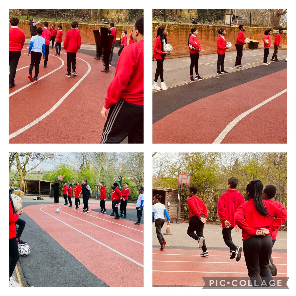 Cardwell Primary tweet media