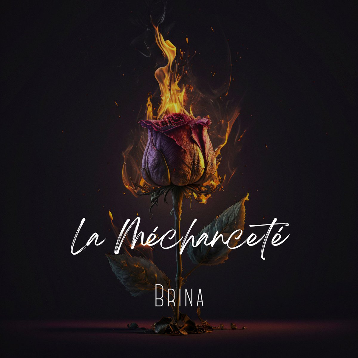Découvrez la musique réunionnaise authentique avec l’artiste Brina et M lo Man. Plongez dans l’univers envoûtant des chansons réunionnaises à La Réunion.

…o-uragans-reunion.nout-web-reunion.re/musique-reunio…

#musique #musiquereunionnaise #brina #mloman #chansons #chansonsreunionnaises #lareunion #reunion