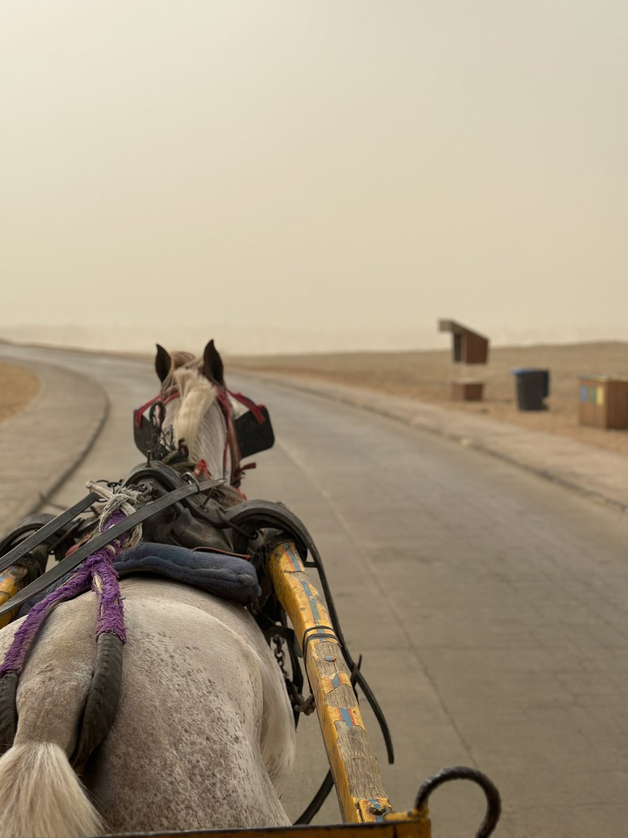 _a6ic's tweet image. 