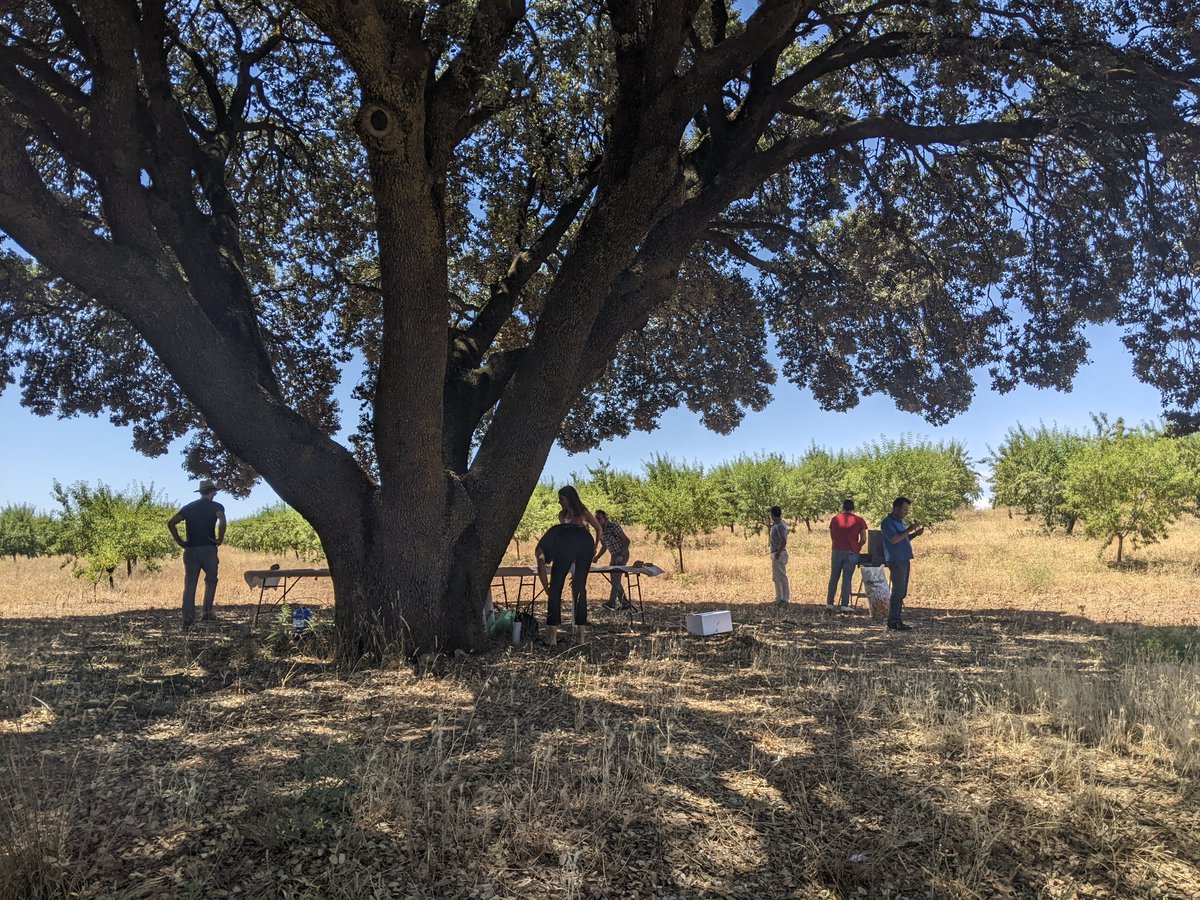 Download the Spanish Action Plan to advance the SDGs in the semi-arid region  🇪🇸 and dive into the 3HCLD Dialogues reports on how to connect local needs with global goals #LocalAction #GlobalCommitment

Only available in Spanish: xpathsfutures.org/publications/