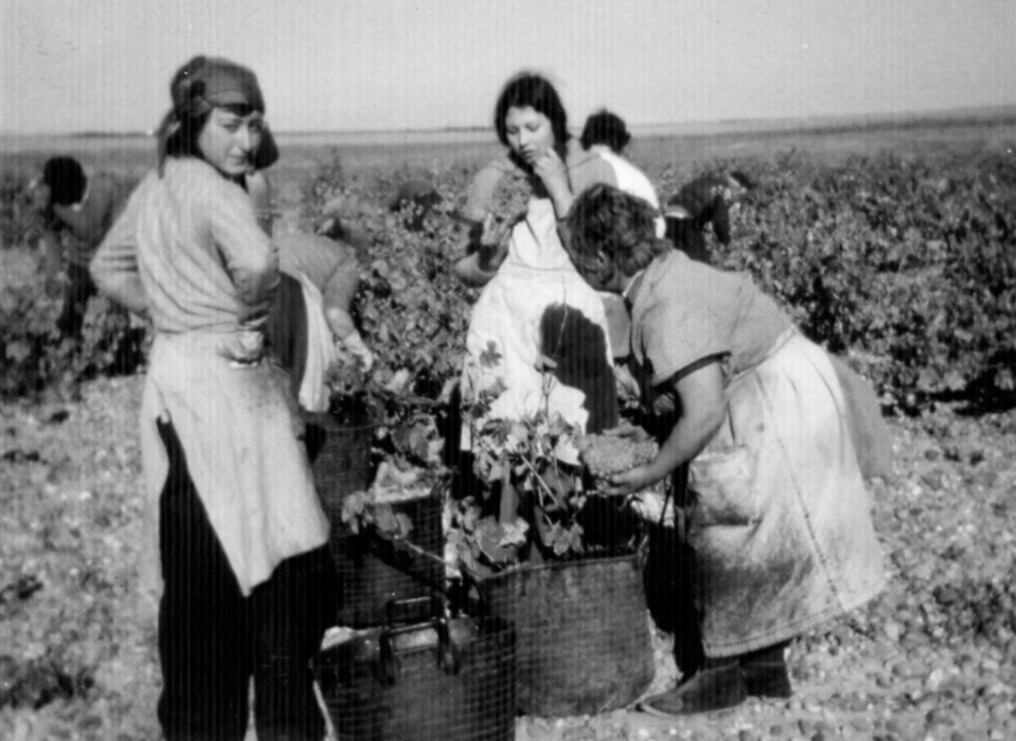 CuatroRayas's tweet photo. #greenandsocial 

Es una máxima en nuestro día a día, pero hoy, #8M, #DíadelaMujer, reivindicamos, aplaudimos y agradecemos el papel imprescindible que las #mujeres juegan y han jugado en #CuatroRayas desde que la #cooperativa echara a andar en 1935 👱‍♀️👩‍🦰👵 https://t.co/ZEMvSuu89c