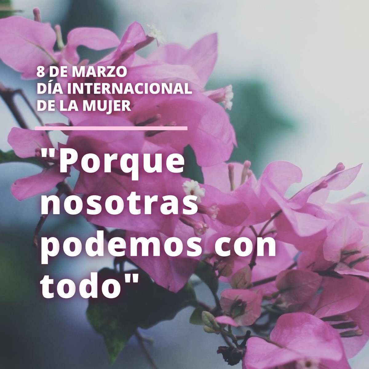 💙 ¡Feliz 8 de marzo, feliz Día Internacional de la Mujer! ❤️ Este día tan especial, queremos celebrarlo con todas las mujeres que nos inspiran, que nos guían con su ejemplo y que nunca dejan de luchar por sus derechos y por la igualdad 😊

#8demarzo #diadelamujer