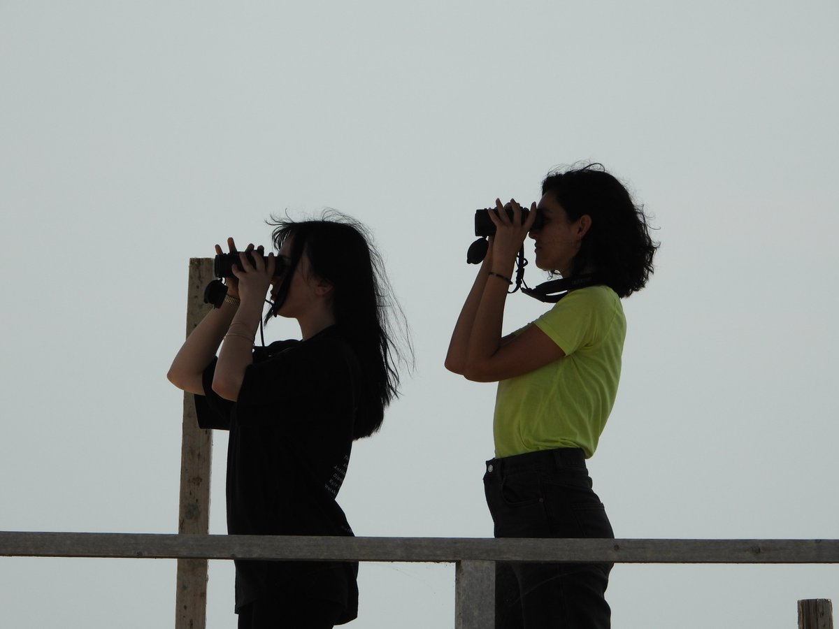 🐦On the search for female birdwatchers ♀️

Have you seen them anywhere? Sure, they are out there but as in many other parts of society, it seems that we encounter fewer women who are active birdwatchers than men.
But why is that? What are the barriers #womenbirders can face?