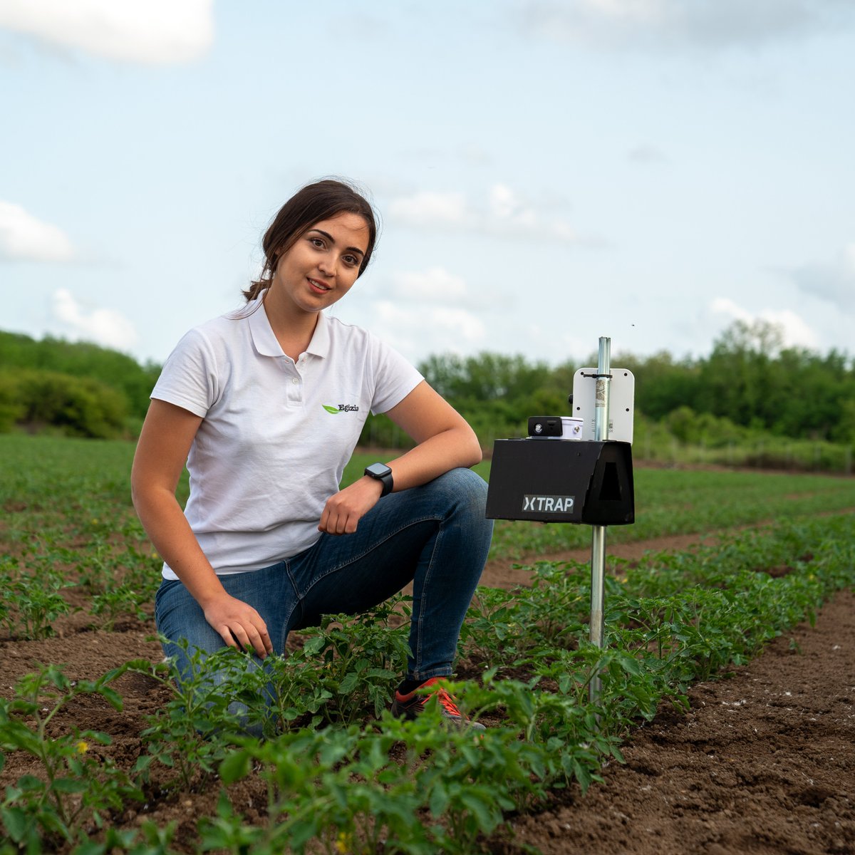 helloxfarm's tweet photo. 🙎♀️ More and more women are taking on leadership roles in farms.
🚜 This is also happening in companies related to the agricultural sector, like xFarm Technologies because farming has never been more of a "business for women".
#InternationalWomensDay #8marzo #xFarm https://t.co/fhX5YMGEmw
