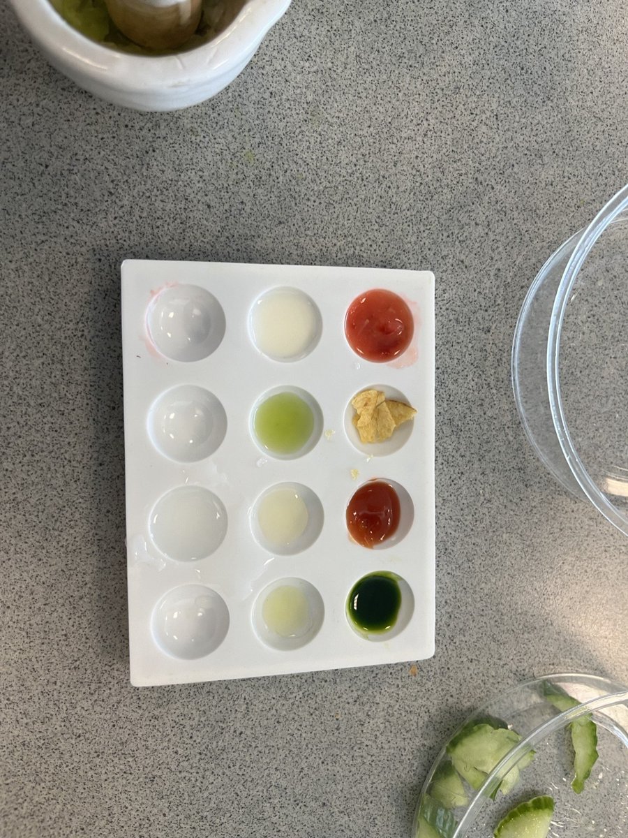 EvertonSchool's tweet photo. Today we taste tested a range of foods to predict if they were acid or alkali. We then tested our predictions to see if we were correct. Great work Year 9, well done! #RealLifeScience https://t.co/JfQVmiDRZk