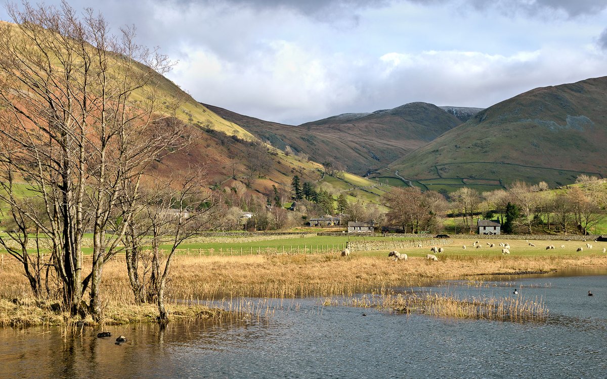 MaureenPlatts's tweet photo. Looking across Brotherswater to the hamlet of Hartsop at the bottom of Kirkstone Pass.  Lake District NP https://t.co/01f8QbkudK