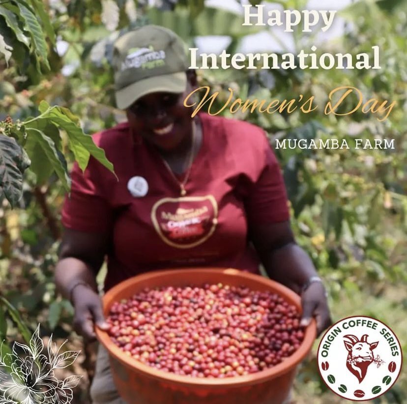 Origin_Cseries's tweet photo. We celebrate the tremendous efforts that make these beautiful coffees tasty. 
Happy International women’s day https://t.co/mARVZG5vKz