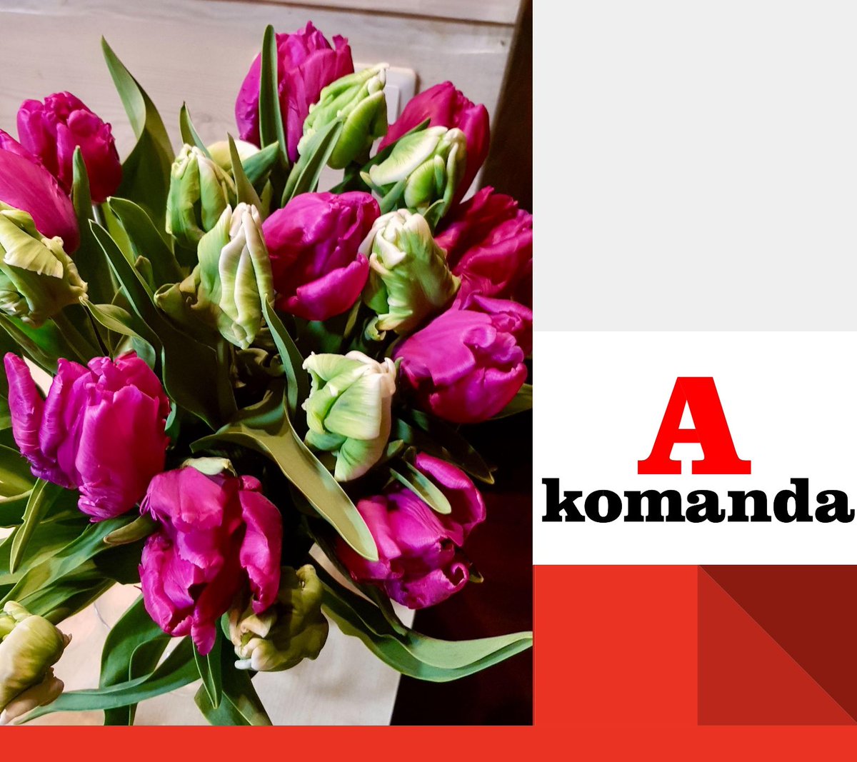 AKomanda15's tweet photo. ♦️ A Komanda" svin Starptautisko sieviešu dienu, dodot iespēju sievietēm mērniecībā un ārpus tās! Šodien mēs godinām sieviešu ieguldījumu mūsu nozarē un visā pasaulē. Kopā turpināsim pārvarēt barjeras un iedvesmot nākamās paaudzes. Priecīgu sieviešu dienu! #AKomanda #WomensDay https://t.co/sn32Xr1P94